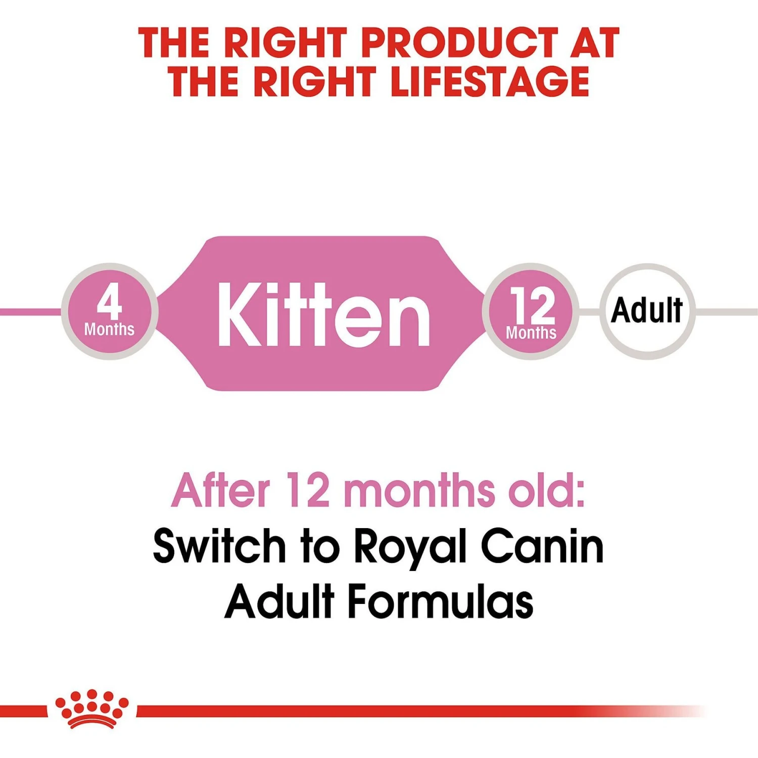 Royal Canin Feline Health Nutrition Kitten Dry Cat Food 9 Royal Canin Feline Health Nutrition Kitten Dry Cat Food - Image 7