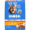 Iams Proactive Health Healthy Enjoyment Immune Support Chicken & Salmon Adult Dry Cat Food -PurePet Bites Shop 690790 MAIN. AC SS1800 V1667344930