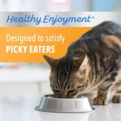 Iams Proactive Health Healthy Enjoyment Immune Support Chicken & Salmon Adult Dry Cat Food 14 Iams Proactive Health Healthy Enjoyment Immune Support Chicken & Salmon Adult Dry Cat Food -PurePet Bites Shop 690790 PT3. AC SS1800 V1667342774