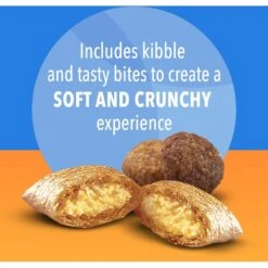 Iams Proactive Health Healthy Enjoyment Immune Support Chicken & Salmon Adult Dry Cat Food 15 Iams Proactive Health Healthy Enjoyment Immune Support Chicken & Salmon Adult Dry Cat Food -PurePet Bites Shop 690790 PT4. AC SS1800 V1667356112