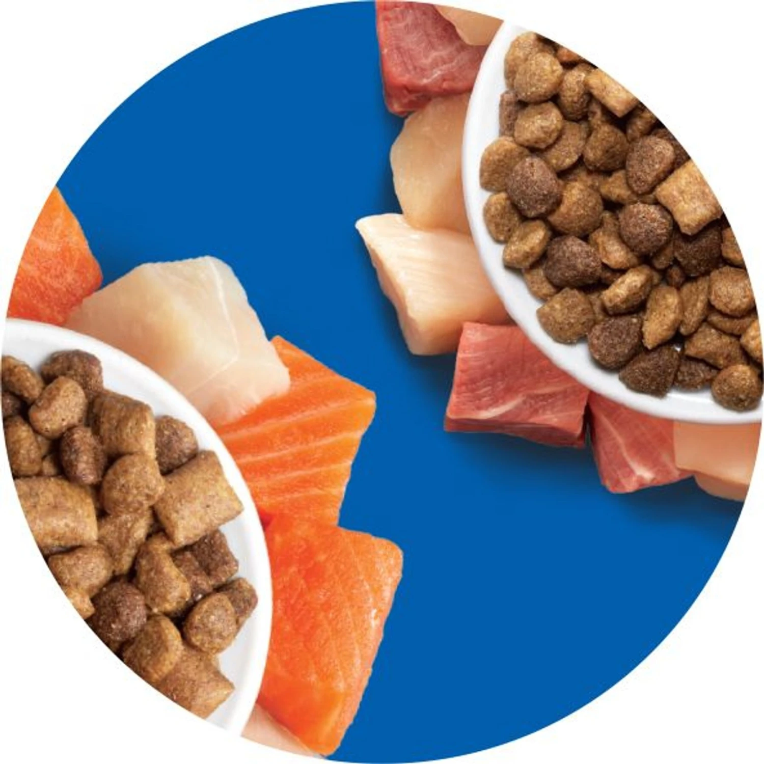 Iams Proactive Health Healthy Enjoyment Immune Support Chicken & Salmon Adult Dry Cat Food 11 Iams Proactive Health Healthy Enjoyment Immune Support Chicken & Salmon Adult Dry Cat Food - Image 9