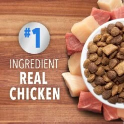 Iams Proactive Health Healthy Enjoyment Immune Support Chicken & Beef Adult Dry Cat Food -PurePet Bites Shop 690830 PT2. AC SS1800 V1667353480