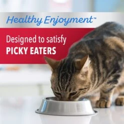 Iams Proactive Health Healthy Enjoyment Immune Support Chicken & Beef Adult Dry Cat Food -PurePet Bites Shop 690830 PT3. AC SS1800 V1667341974