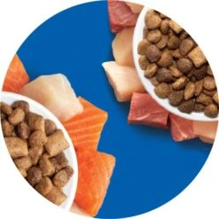 Iams Proactive Health Healthy Enjoyment Immune Support Chicken & Beef Adult Dry Cat Food -PurePet Bites Shop 690830 PT8. AC SS1800 V1667343237