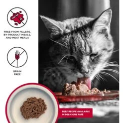BIXBI Liberty Beef Pate Recipe Grain-Free Wet Cat Food, 2.75-oz Can, Case Of 24 -PurePet Bites Shop 691254 PT1. AC SS1800 V1666839151