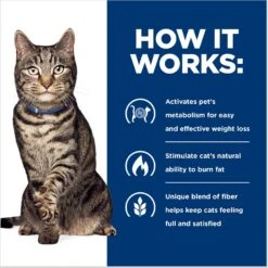 Hill's Prescription Diet Metabolic Chicken Flavor Dry Cat Food -PurePet Bites Shop 69812 PT5. AC SS1800 V1668547936