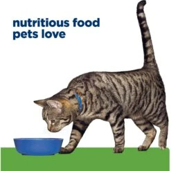 Hill's Prescription Diet Metabolic Chicken Flavor Dry Cat Food -PurePet Bites Shop 69812 PT6. AC SS1800 V1668550702