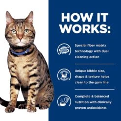 Hill's Prescription Diet T/d Dental Care Chicken Flavor Dry Cat Food -PurePet Bites Shop 69828 PT5. AC SS1800 V1650994886