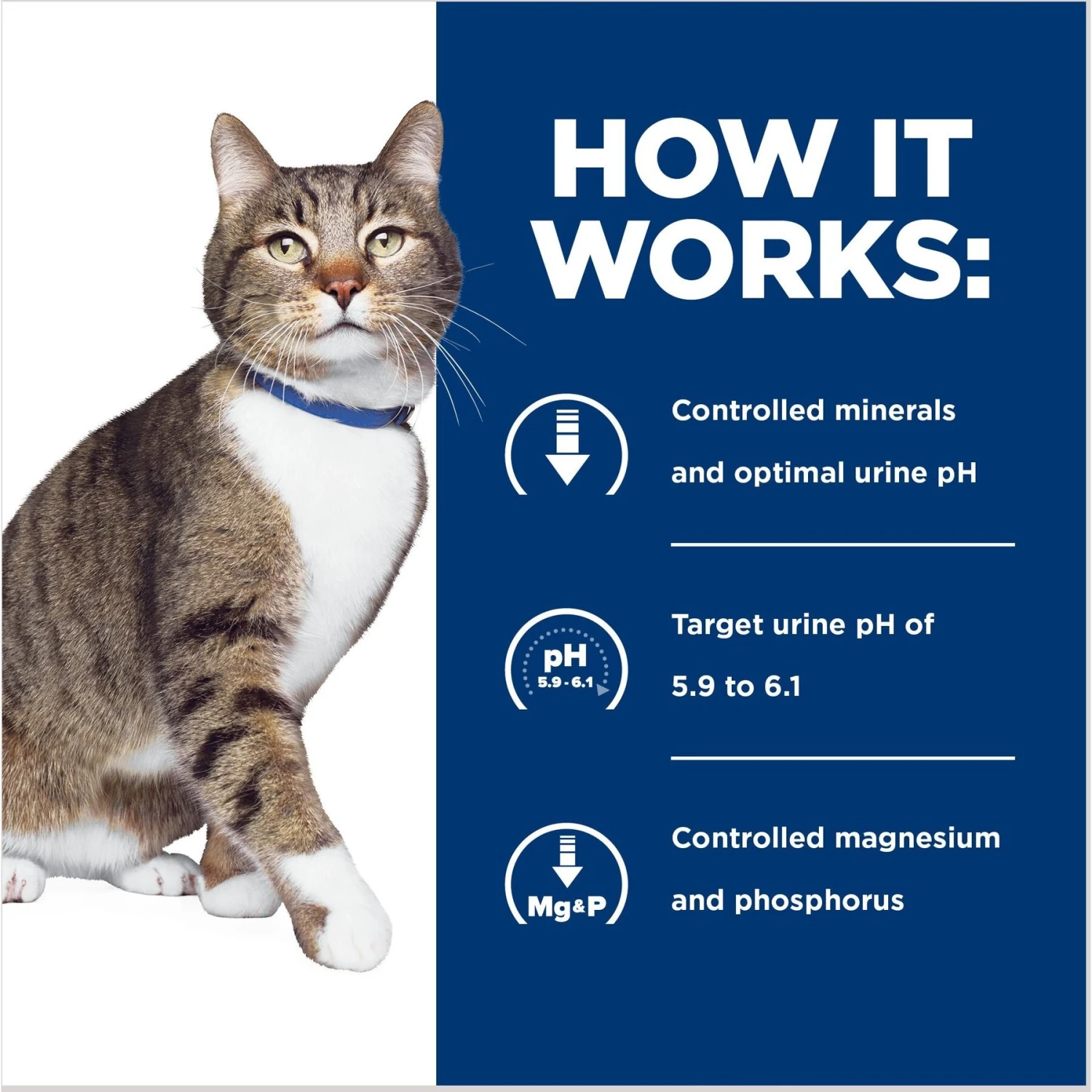 Hill's Prescription Diet S/d Urinary Care Chicken Flavor Dry Cat Food 8 Hill's Prescription Diet S/d Urinary Care Chicken Flavor Dry Cat Food - Image 6