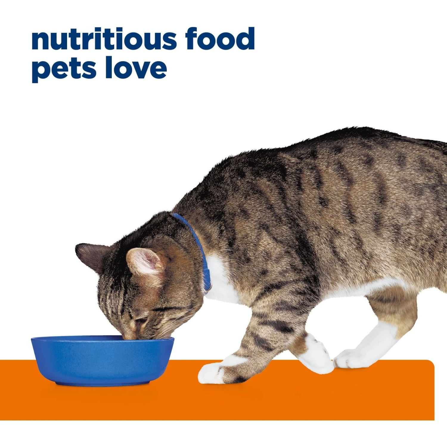 Hill's Prescription Diet S/d Urinary Care Chicken Flavor Dry Cat Food 9 Hill's Prescription Diet S/d Urinary Care Chicken Flavor Dry Cat Food - Image 7