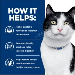 Hill's Prescription Diet I/d Digestive Care With Chicken Wet Cat Food -PurePet Bites Shop 69849 PT5. AC SS1800 V1687986039