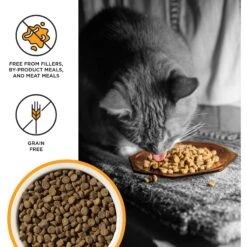 BIXBI Liberty Kitten Health Chicken Recipe Grain-Free Dry Cat Food -PurePet Bites Shop 703646 PT2. AC SS1800 V1667863182