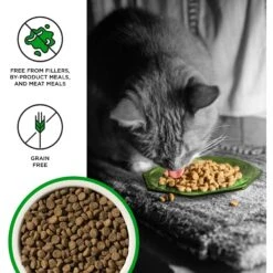 BIXBI Liberty Digestive Health Chicken Recipe Grain-Free Dry Cat Food 11 BIXBI Liberty Digestive Health Chicken Recipe Grain-Free Dry Cat Food -PurePet Bites Shop 703694 PT2. AC SS1800 V1667863897