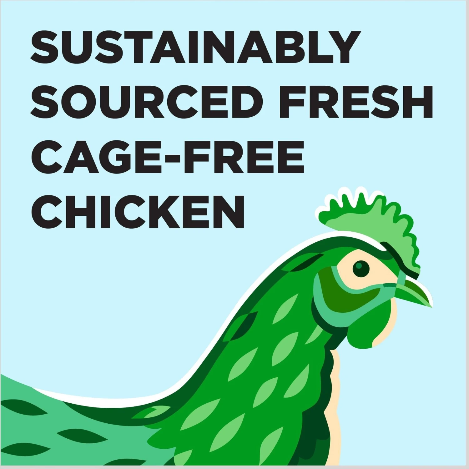 BIXBI Liberty Digestive Health Chicken Recipe Grain-Free Dry Cat Food 6 BIXBI Liberty Digestive Health Chicken Recipe Grain-Free Dry Cat Food - Image 4