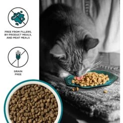 BIXBI Liberty Indoor Health Chicken & Salmon Recipe Grain-Free Dry Cat Food -PurePet Bites Shop 703718 PT2. AC SS1800 V1667863358