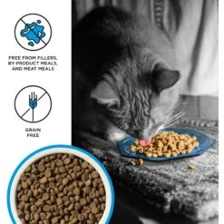 BIXBI Liberty Salmon Recipe Grain-Free Dry Cat Food -PurePet Bites Shop 703742 PT2. AC SS1800 V1667864879