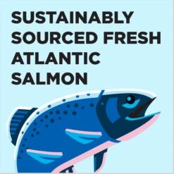 BIXBI Liberty Salmon Recipe Grain-Free Dry Cat Food -PurePet Bites Shop 703742 PT3. AC SS1800 V1667864392