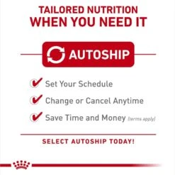 Royal Canin Feline Breed Nutrition Ragdoll Adult Dry Cat Food, 7-lb Bag -PurePet Bites Shop 70383 PT3. AC SS1800 V1696345452