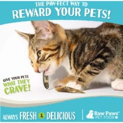 Raw Paws Freeze-Dried Smelt Minnows Dog & Cat Treats -PurePet Bites Shop 703910 PT5. AC SS1800 V1667948491