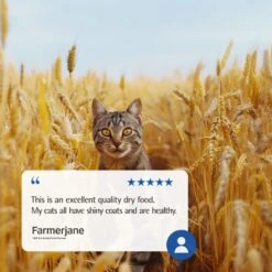 Farmina Natural & Delicious Chicken & Ancestral Low-Grain Formula Dry Cat Food -PurePet Bites Shop 71990 PT7. AC SS1800 V1679329995