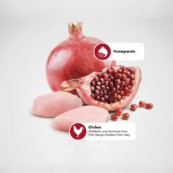 Farmina Natural & Delicious Chicken Grain-Free Formula Dry Cat Food -PurePet Bites Shop 72015 PT4. AC SS1800 V1489367656