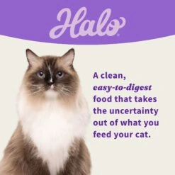 Halo Chicken, Whitefish, Turkey Variety Pack Grain-Free Pate Adult Wet Cat Food, 5.5-oz Can, Case Of 12 -PurePet Bites Shop 721894 PT5. AC SS1800 V1669911266