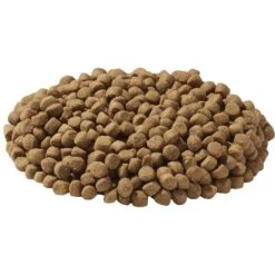 Wysong Fundamentals Dry Dog & Cat Food 7 Wysong Fundamentals Dry Dog & Cat Food -PurePet Bites Shop 73639 PT2. AC SS1800 V1535490124