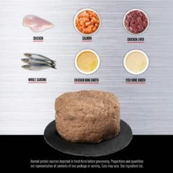 ORIJEN Kitten Recipe Chicken + Salmon Entree In Bone Broth Wet Cat Food -PurePet Bites Shop 741350 PT3. AC SS1800 V1681756520