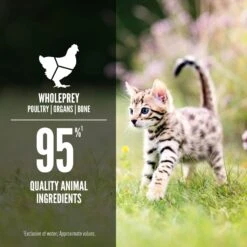 ORIJEN Kitten Recipe Chicken + Salmon Entree In Bone Broth Wet Cat Food -PurePet Bites Shop 741350 PT4. AC SS1800 V1681756777