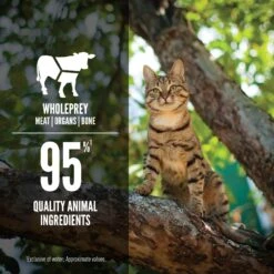 ORIJEN Regional Red Entree In Bone Broth Wet Cat Food -PurePet Bites Shop 741494 PT4. AC SS1800 V1681756771