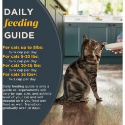 Reveal Natural Complete & Balanced Grain-Free Chicken Recipe Dry Cat Food, 3-lb Bag -PurePet Bites Shop 752574 PT5. AC SS1800 V1673648126