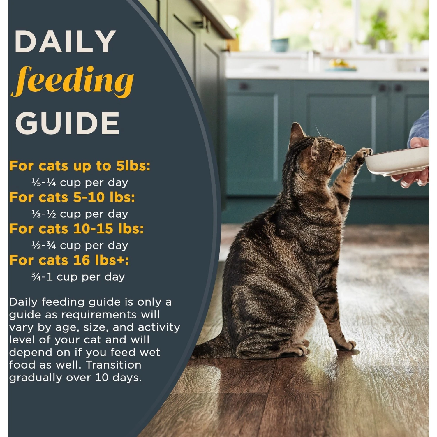 Reveal Natural Complete & Balanced Grain-Free Whitefish Recipe Dry Cat Food, 3-lb Bag 8 Reveal Natural Complete & Balanced Grain-Free Whitefish Recipe Dry Cat Food, 3-lb Bag - Image 6