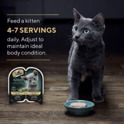 Sheba Perfect Portions Kitten Chicken Pate Wet Cat Food -PurePet Bites Shop 752934 PT6. AC SS1800 V1672843243