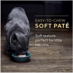 Sheba Perfect Portions Kitten Chicken Pate Wet Cat Food -PurePet Bites Shop 752934 PT7. AC SS1800 V1672851238