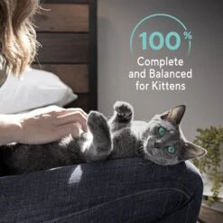 Sheba Perfect Portions Kitten Chicken Pate Wet Cat Food -PurePet Bites Shop 752934 PT8. AC SS1800 V1672843190