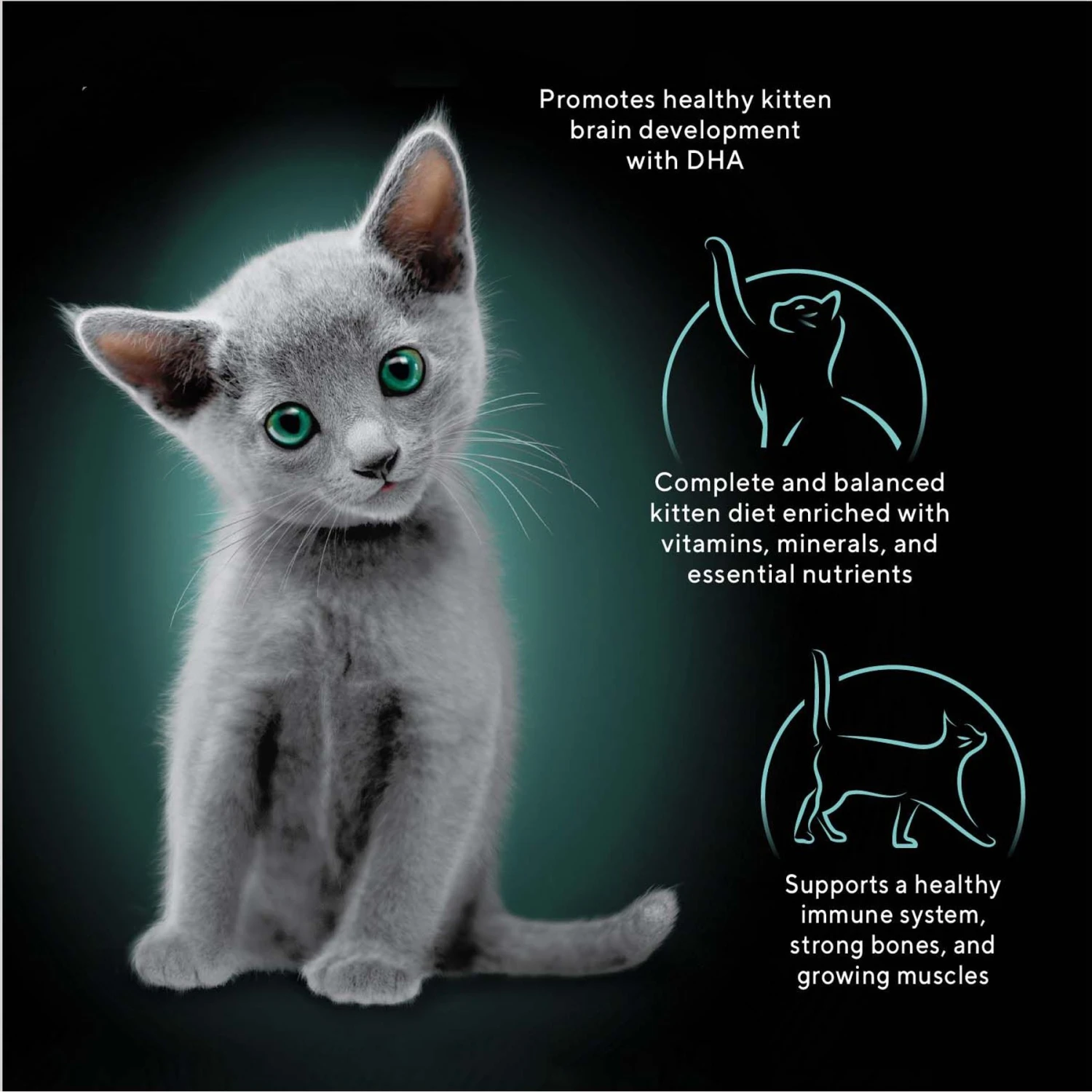 Sheba Perfect Portions Kitten Variety Pack Chicken Pate & Pate Salmon Wet Cat Food 5 Sheba Perfect Portions Kitten Variety Pack Chicken Pate & Pate Salmon Wet Cat Food - Image 3