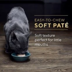 Sheba Perfect Portions Kitten Variety Pack Chicken Pate & Pate Salmon Wet Cat Food 19 Sheba Perfect Portions Kitten Variety Pack Chicken Pate & Pate Salmon Wet Cat Food -PurePet Bites Shop 752950 PT8. AC SS1800 V1672843191