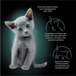 Sheba Perfect Portions Kitten Salmon Soft Pate Wet Cat Food -PurePet Bites Shop 752966 PT2. AC SS1800 V1672850420