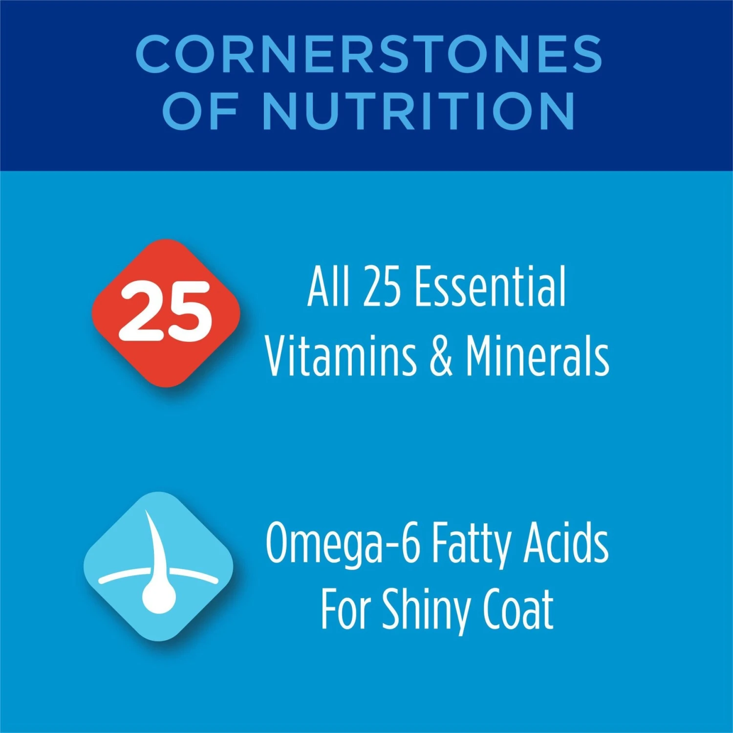 Cat Chow Complete High Protein Salmon Dry Cat Food 5 Cat Chow Complete High Protein Salmon Dry Cat Food - Image 3