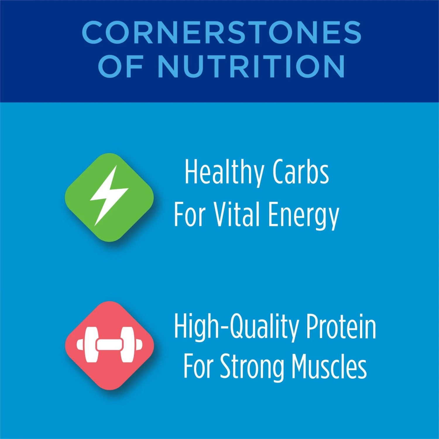 Cat Chow Complete High Protein Salmon Dry Cat Food 6 Cat Chow Complete High Protein Salmon Dry Cat Food - Image 4