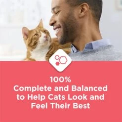 Cat Chow Complete High Protein Salmon Dry Cat Food 16 Cat Chow Complete High Protein Salmon Dry Cat Food -PurePet Bites Shop 754158 PT5. AC SS1800 V1673365262