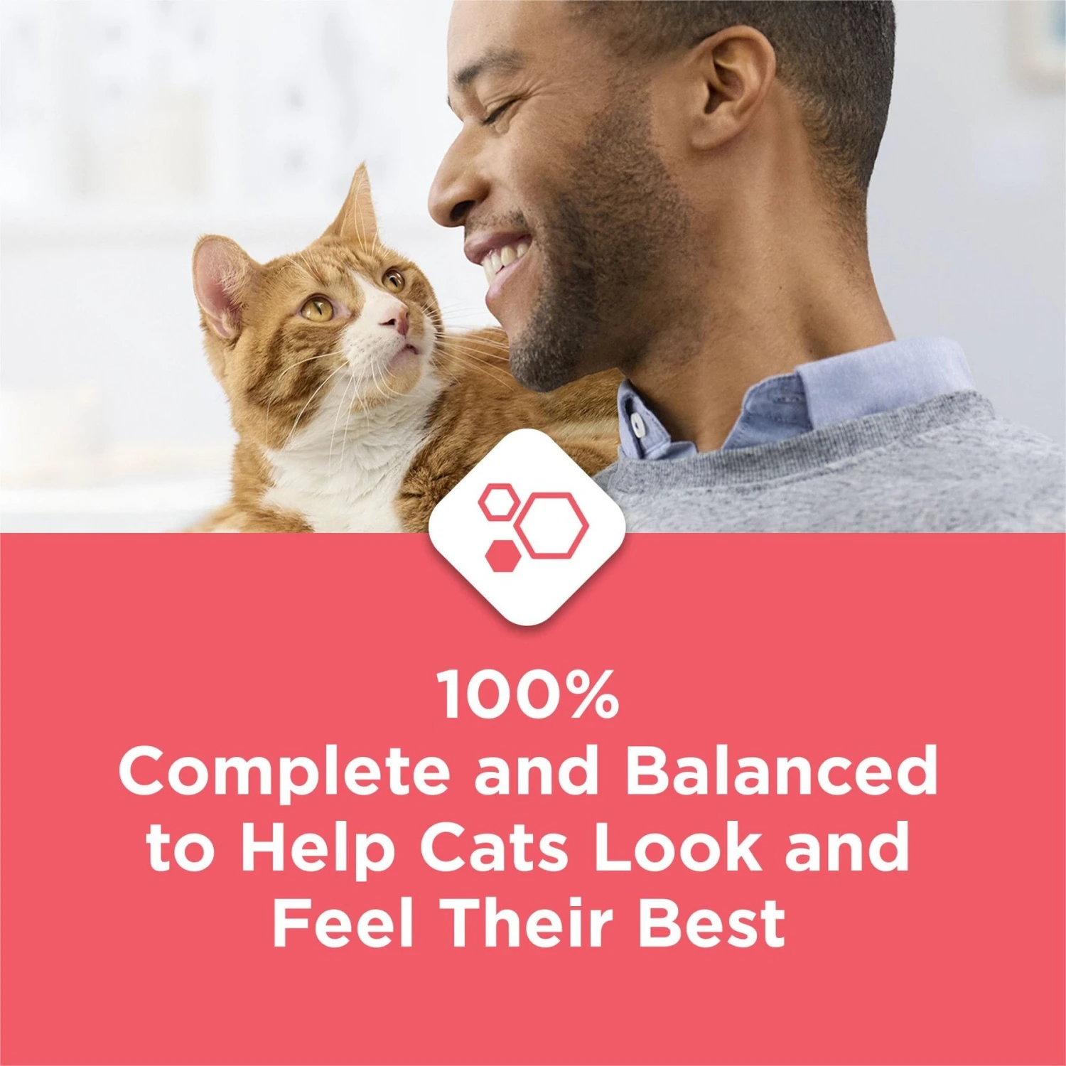 Cat Chow Complete High Protein Salmon Dry Cat Food 8 Cat Chow Complete High Protein Salmon Dry Cat Food - Image 6