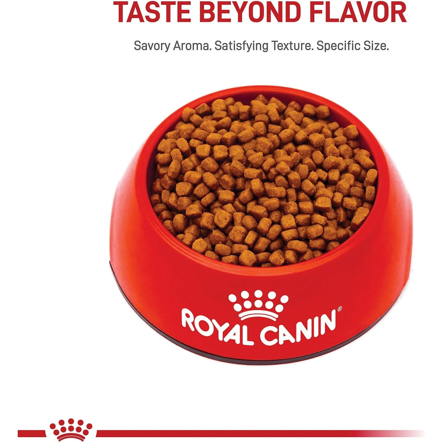 Royal Canin Feline Breed Nutrition Persian Kitten Dry Cat Food, 3-lb Bag 4 Royal Canin Feline Breed Nutrition Persian Kitten Dry Cat Food, 3-lb Bag - Image 2