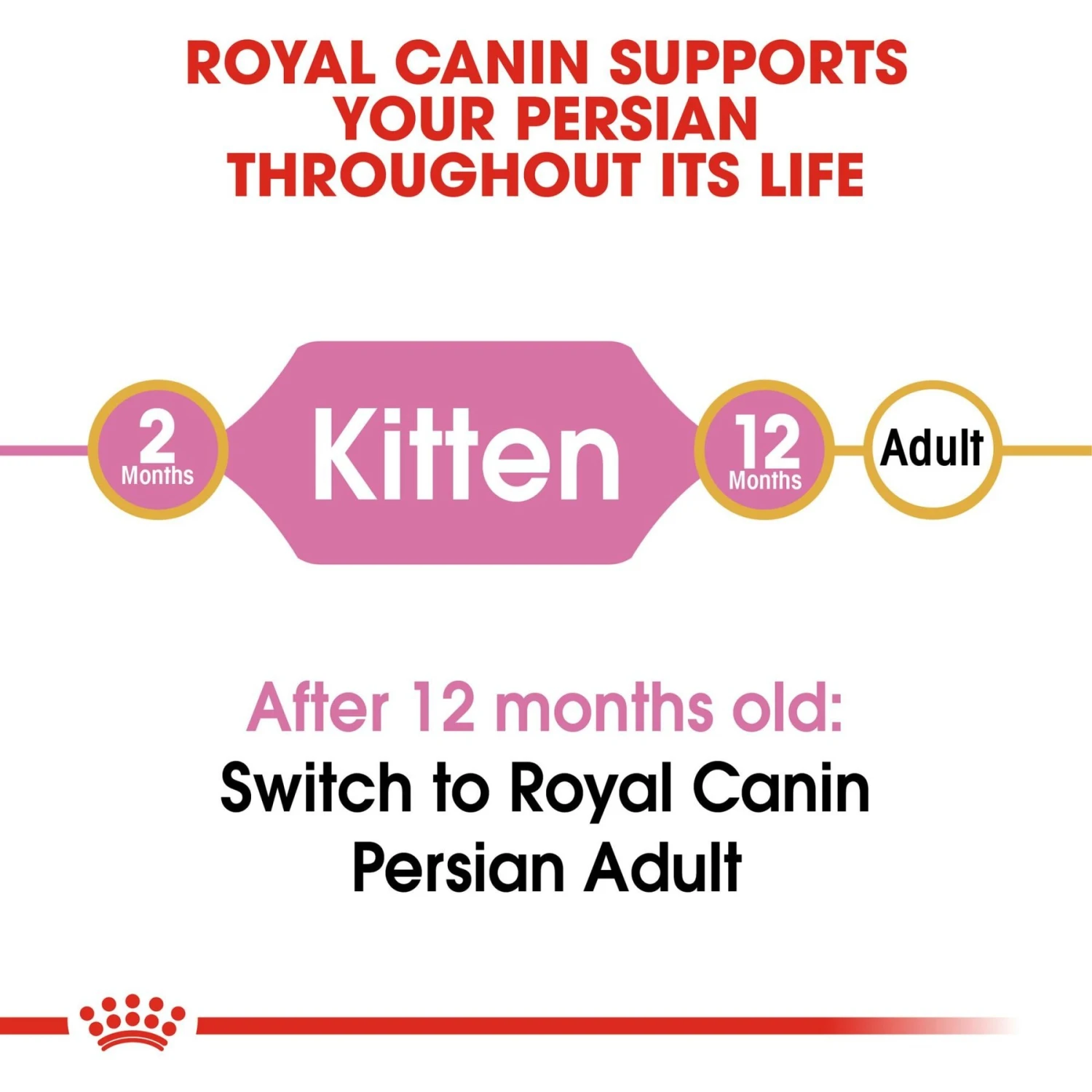Royal Canin Feline Breed Nutrition Persian Kitten Dry Cat Food, 3-lb Bag 9 Royal Canin Feline Breed Nutrition Persian Kitten Dry Cat Food, 3-lb Bag - Image 7
