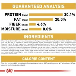 Royal Canin Feline Breed Nutrition Persian Kitten Dry Cat Food, 3-lb Bag 18 Royal Canin Feline Breed Nutrition Persian Kitten Dry Cat Food, 3-lb Bag -PurePet Bites Shop 75471 PT7. AC SS1800 V1697755354