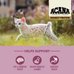 ACANA Highest Protein Grain-Free Dry Kitten Food, 4-lb Bag -PurePet Bites Shop 755518 PT4. AC SS1800 V1690998925