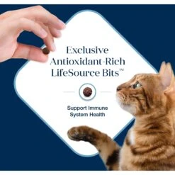 Blue Buffalo Basics Skin & Stomach Care Grain-Free Formula Fish & Potato Indoor Adult Dry Cat Food 17 Blue Buffalo Basics Skin & Stomach Care Grain-Free Formula Fish & Potato Indoor Adult Dry Cat Food -PurePet Bites Shop 75581 PT6. AC SS1800 V1646251593