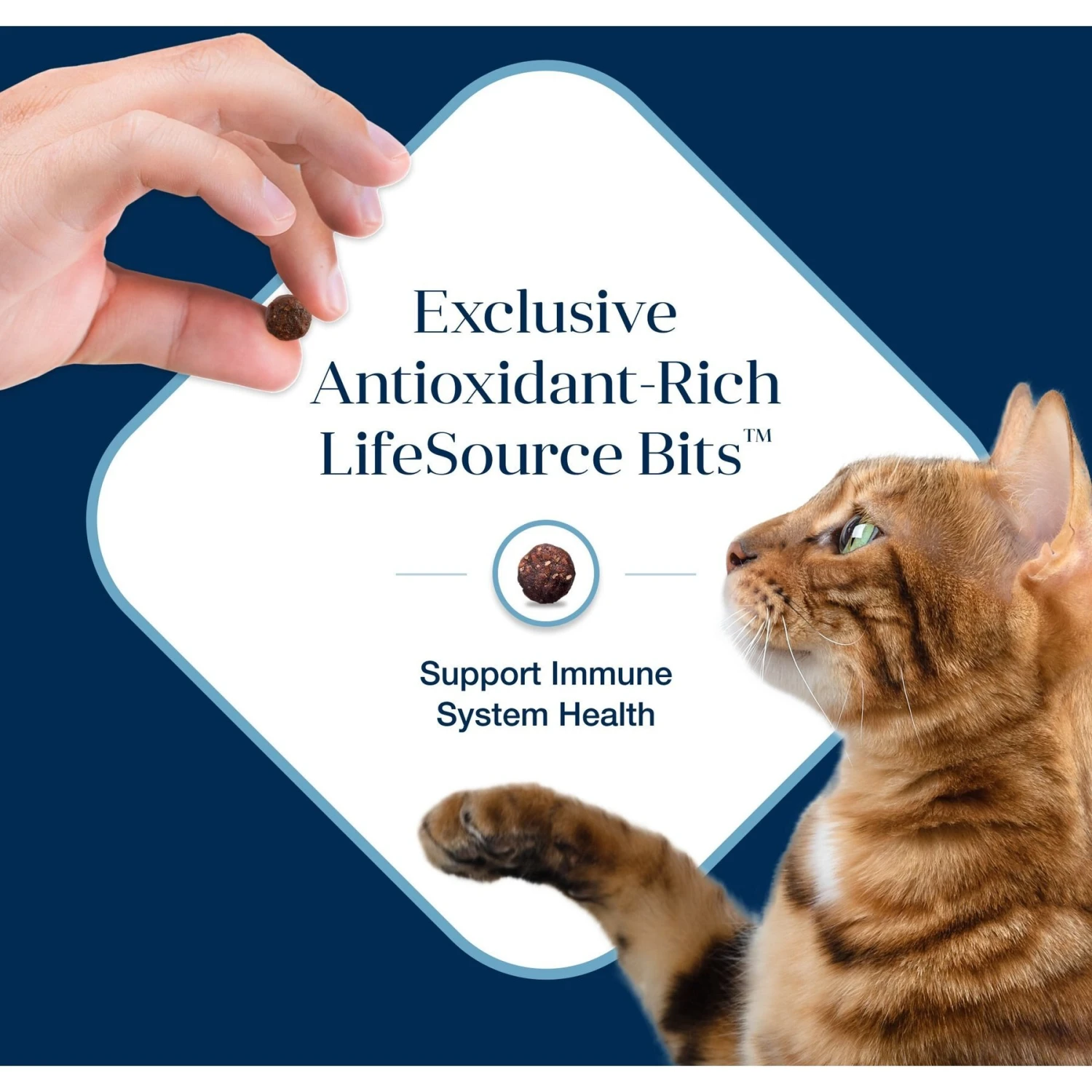 Blue Buffalo Basics Skin & Stomach Care Grain-Free Formula Fish & Potato Indoor Adult Dry Cat Food 9 Blue Buffalo Basics Skin & Stomach Care Grain-Free Formula Fish & Potato Indoor Adult Dry Cat Food - Image 7