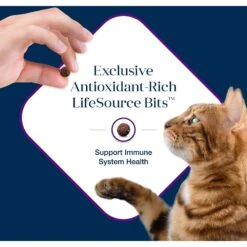 Blue Buffalo Basics Skin & Stomach Care Grain-Free Formula Turkey & Potato Indoor Mature Dry Cat Food -PurePet Bites Shop 75584 PT6. AC SS1800 V1646272886