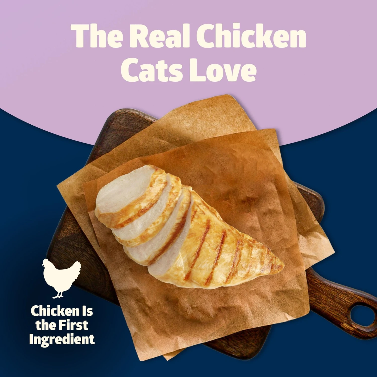 Blue Buffalo Freedom Indoor Kitten Chicken Recipe Grain-Free Dry Cat Food 4 Blue Buffalo Freedom Indoor Kitten Chicken Recipe Grain-Free Dry Cat Food - Image 2
